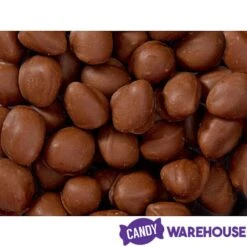 Brach's Double Dippers Milk Chocolate Covered Peanuts: 12-Ounce Bag 8 Brach's Double Dippers Milk Chocolate Covered Peanuts: 12-Ounce Bag -Candy Shop brach s double dippers milk chocolate covered peanuts 12 ounce bag candy warehouse 4 7a6bd210 22d2 46b8 86dc 4fa28e85147b