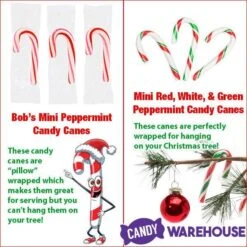 Brach's Peppermint Mini Candy Canes: 500-Piece Tub 8 Brach's Peppermint Mini Candy Canes: 500-Piece Tub -Candy Shop brach s peppermint mini candy canes 500 piece tub candy warehouse 4