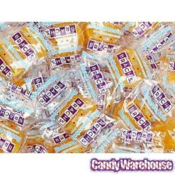 Brach's Sugar Free Butterscotch Candy Discs: 2.6LB Box -Candy Shop brach s sugar free butterscotch candy discs 2 6lb box candy warehouse 3 b22dd37a 5d07 4847 84ec 20e89561d58b
