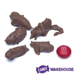 Chocolate Covered Crickets: 100-Piece Tub -Candy Shop chocolate covered crickets 100 piece tub candy warehouse 3