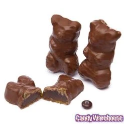 Chocolate Covered Jumbo Gummy Bears: 5LB Box 7 Chocolate Covered Jumbo Gummy Bears: 5LB Box -Candy Shop chocolate covered jumbo gummy bears 5lb box candy warehouse 4