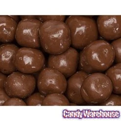 Chocolate Covered S'Moresels: 2LB Bag -Candy Shop chocolate covered s moresels 2lb bag candy warehouse 3