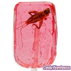 Cricket Lollipops: 36-Piece Box -Candy Shop cricket lollipops 36 piece box candy warehouse 4