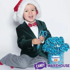 Jelly Belly Candy Canes - Blueberry: 80-Piece Bucket -Candy Shop jelly belly candy canes blueberry 80 piece bucket candy warehouse 3